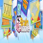 Brain Puzzle